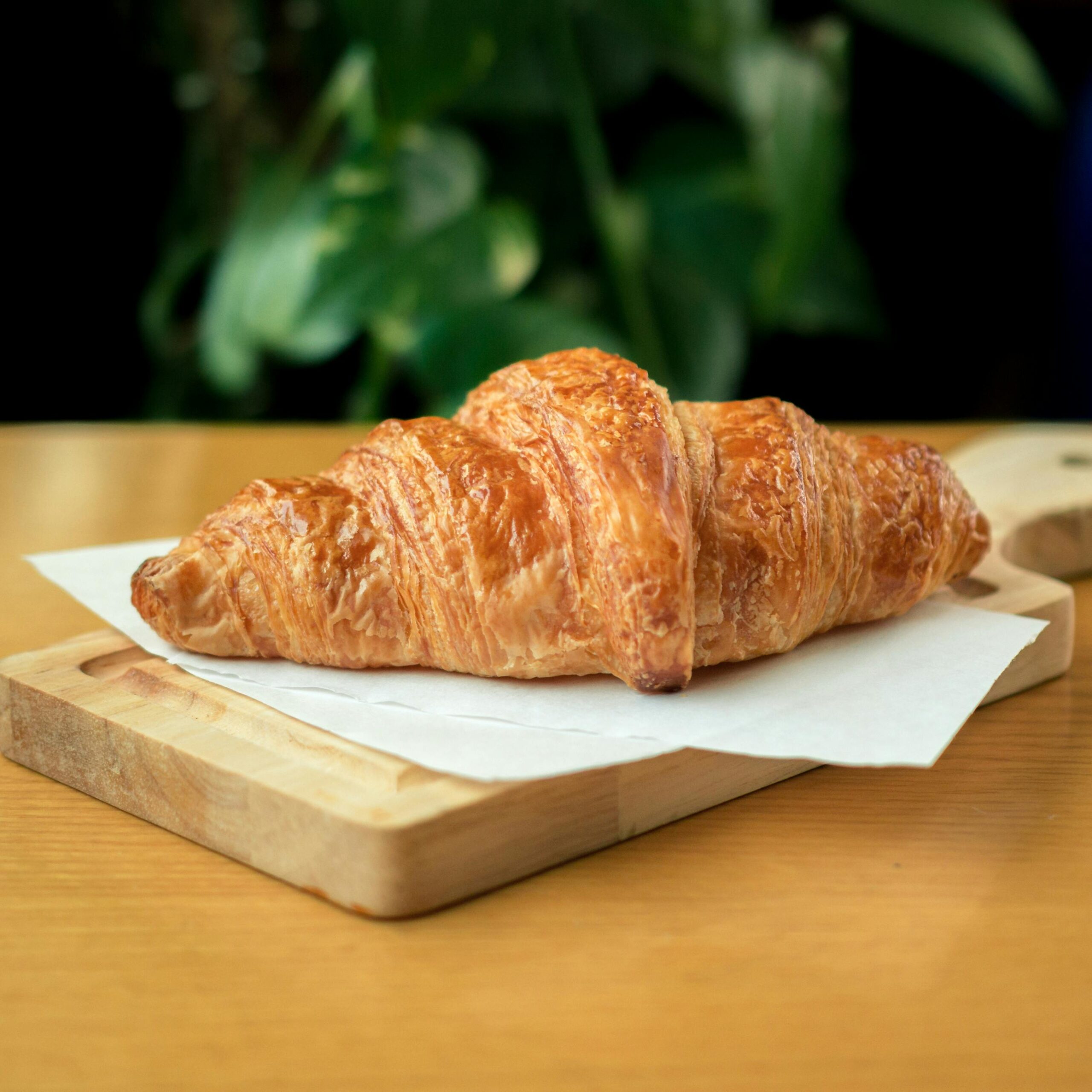 Fakta Croissant