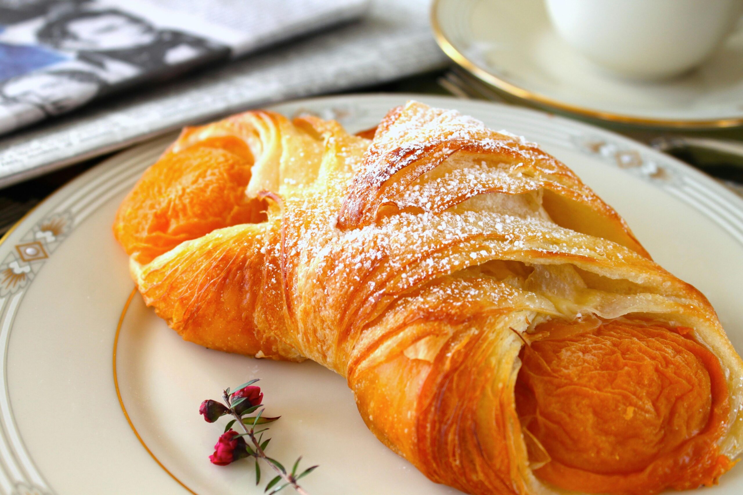 Kandungan Croissant