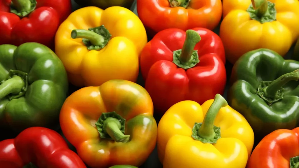 10 Resep Paprika yang Harus Kamu Coba di Rumah