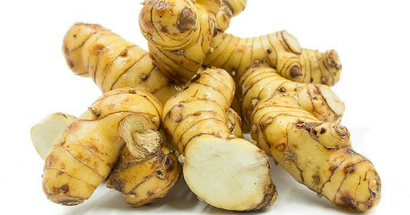 10 Manfaat Kesehatan dari Kencur yang Perlu Kamu Ketahui