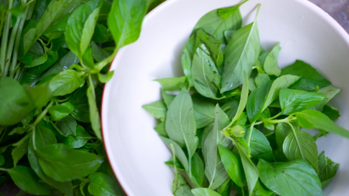10 Manfaat Daun Kemangi untuk Kecantikan