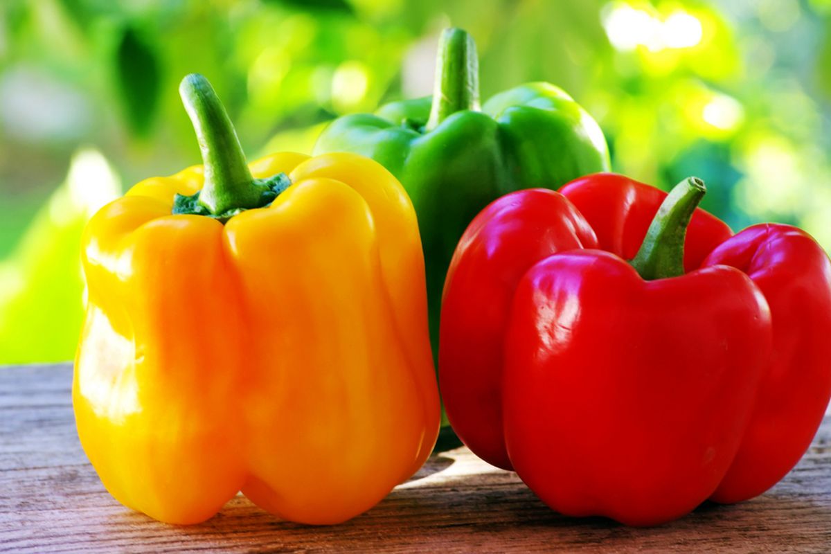 10 Fakta Menarik tentang Paprika yang Harus Kamu Tahu