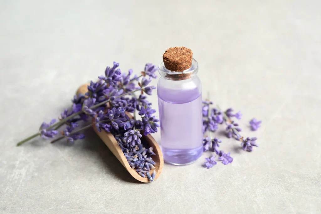 10 Cara Membuat Essential Oil Lavender di Rumah