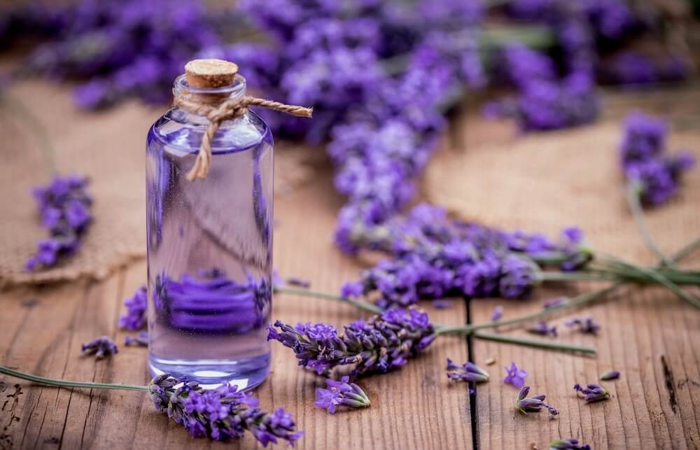 10 Manfaat Lavender untuk Kesehatan