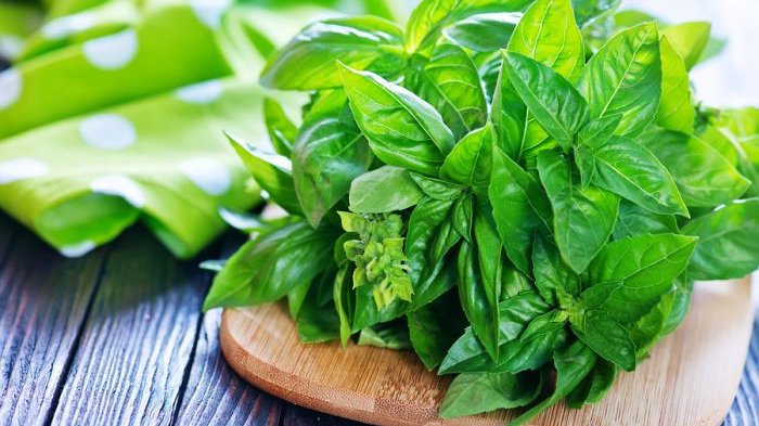 10 Cara Membuat Teh Daun Kemangi yang Menyegarkan
