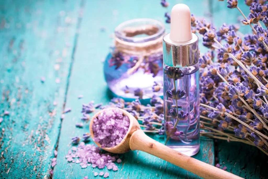 10 Fakta Menarik tentang Bunga Lavender