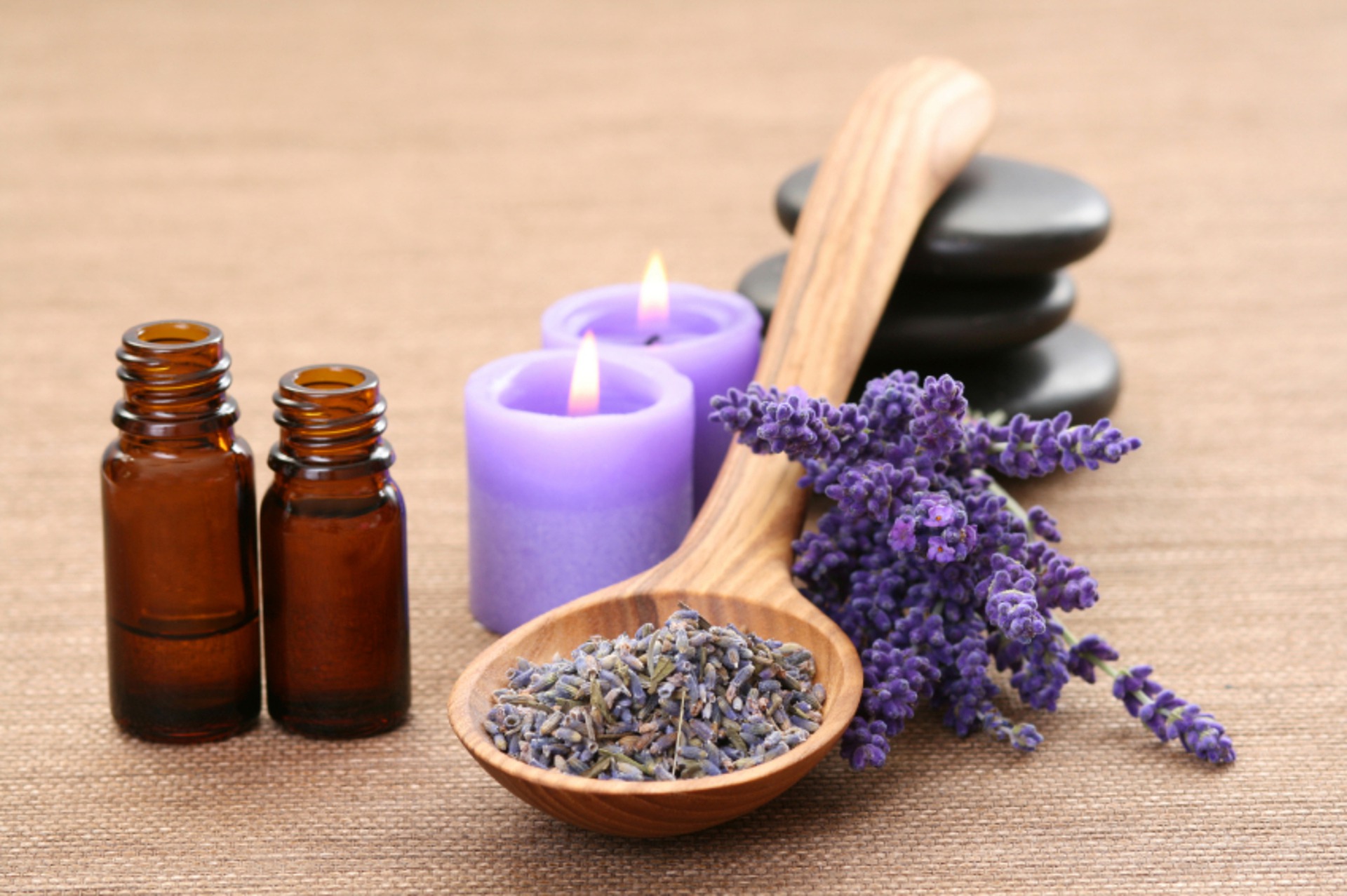 10 Fakta Menarik tentang Bunga Lavender