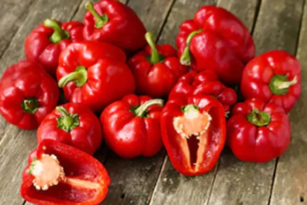10 Manfaat Paprika untuk Kulit dan Kecantikan yang Harus Kamu Tahu