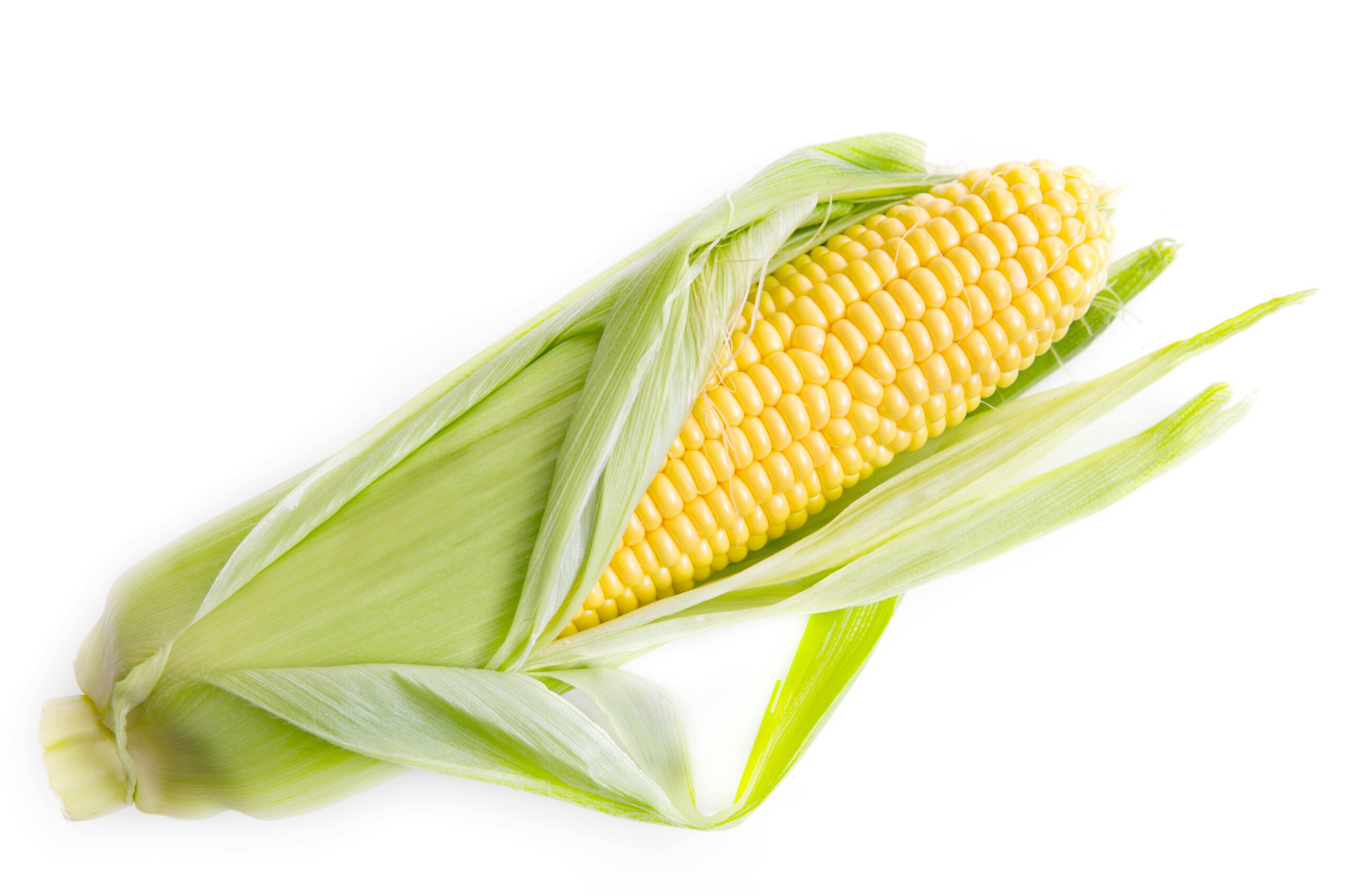 Fakta Jagung