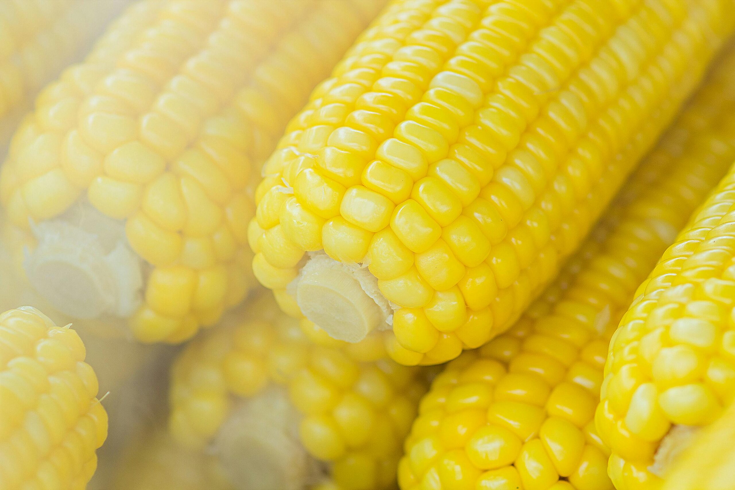 Mitos Jagung