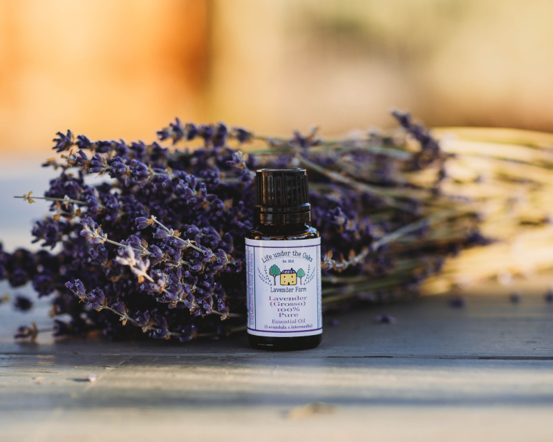 10 Manfaat Lavender untuk Kulit Wajah