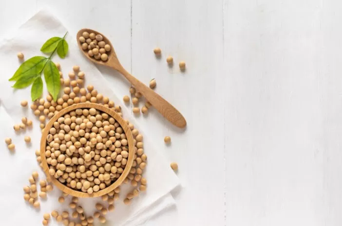 10 Makanan yang Mengandung Ceramide Alami
