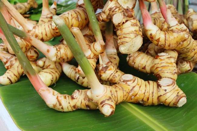 10 Cara Membuat Ramuan Herbal dengan Lengkuas