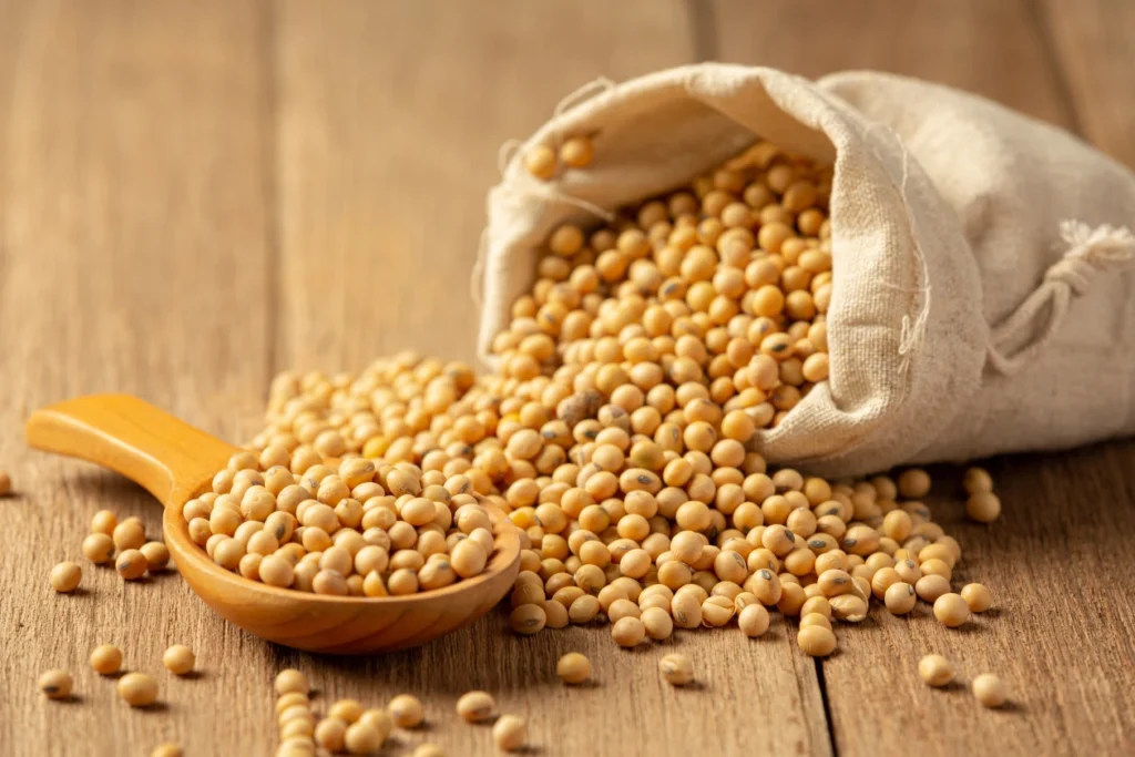 10 Makanan yang Mengandung Ceramide Alami