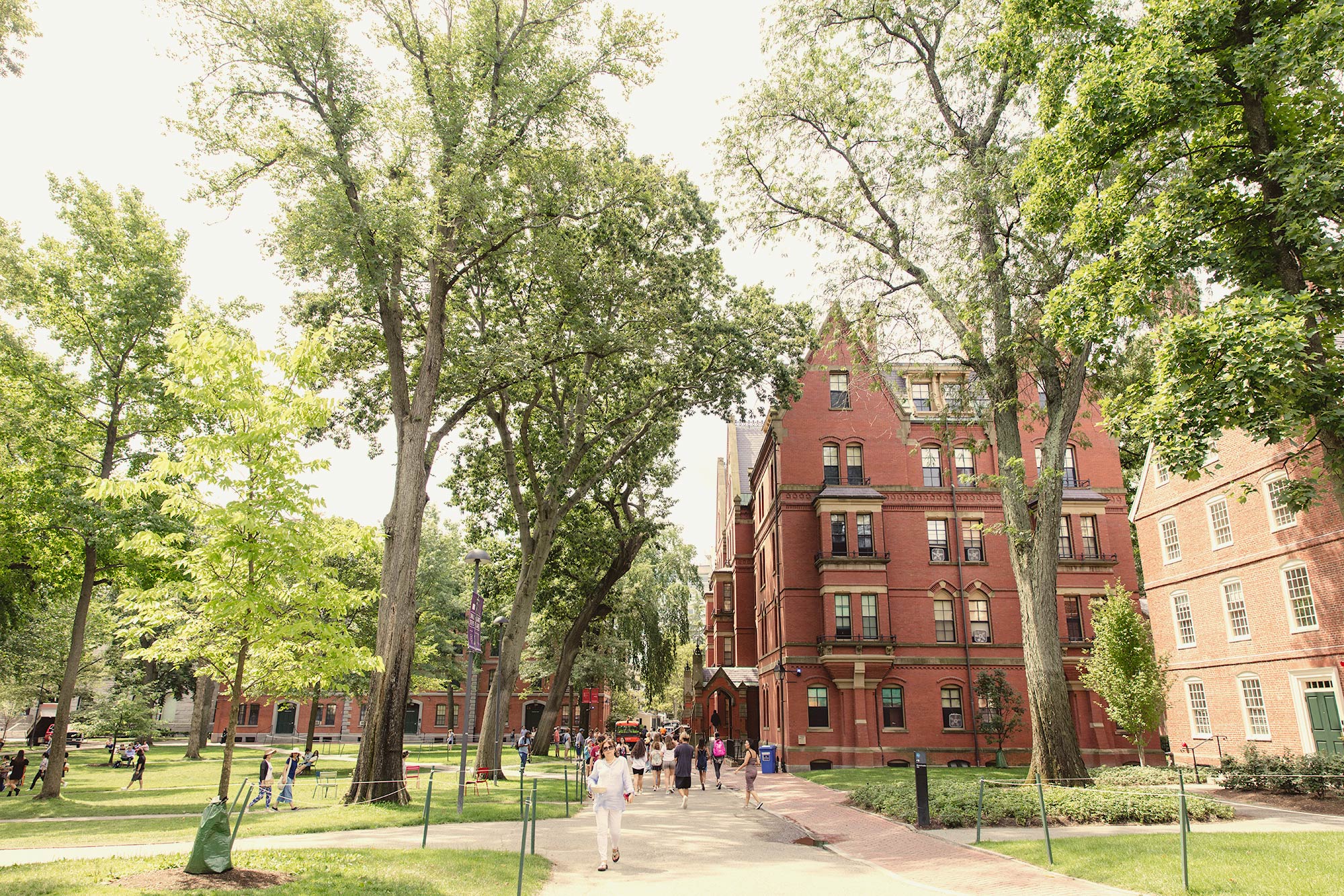 10 Persyaratan Penting untuk Mendaftar ke Universitas Harvard