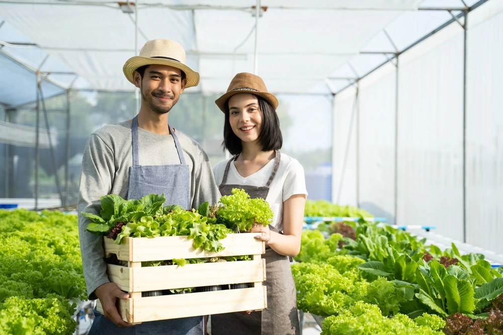 10 Jenis Tanaman Pangan yang Cepat Panen dan Menguntungkan