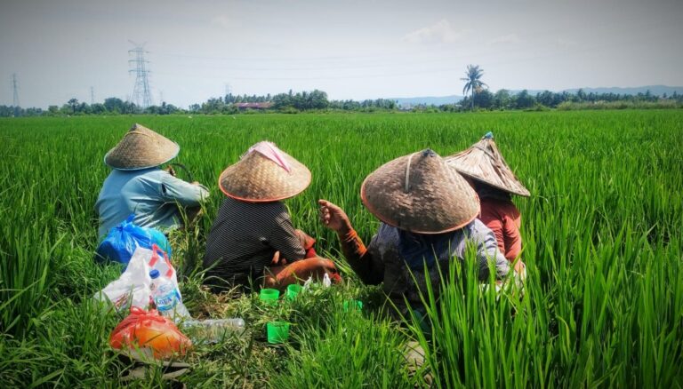 Sejarah Hari Tani Nasional: Mengenang Perjuangan Petani Indonesia