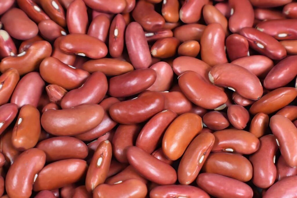 Kandungan Nutrisi dalam Kacang Merah yang Wajib Kamu Tahu