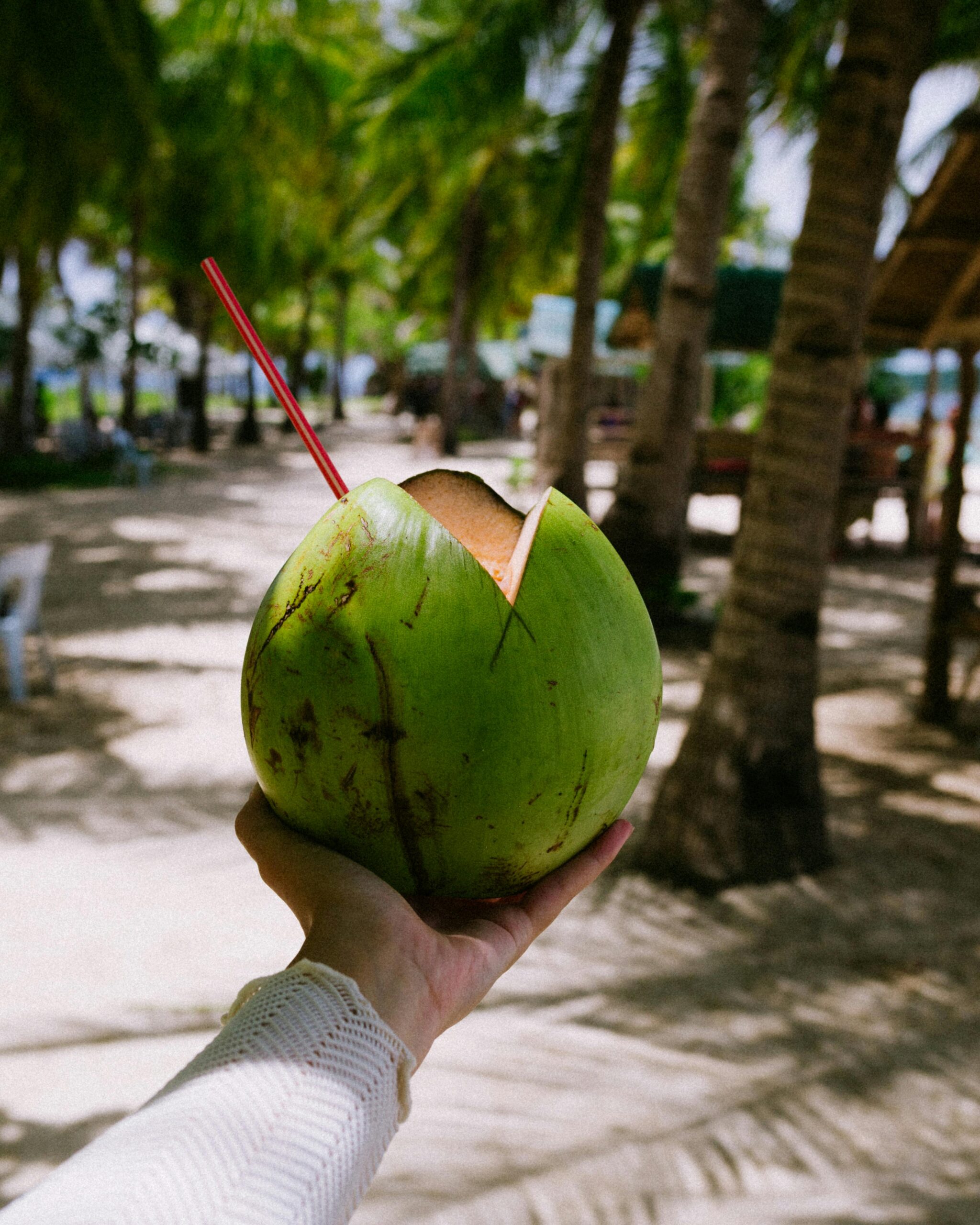 Kandungan Kelapa Ijo