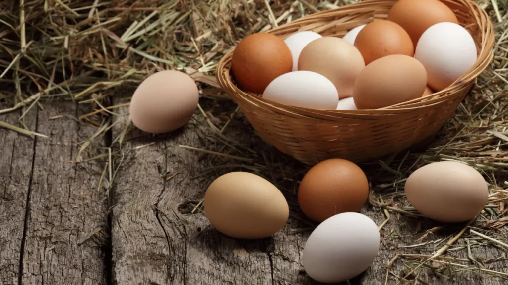 10 Menu Diet Telur Ayam untuk Menurunkan Berat Badan