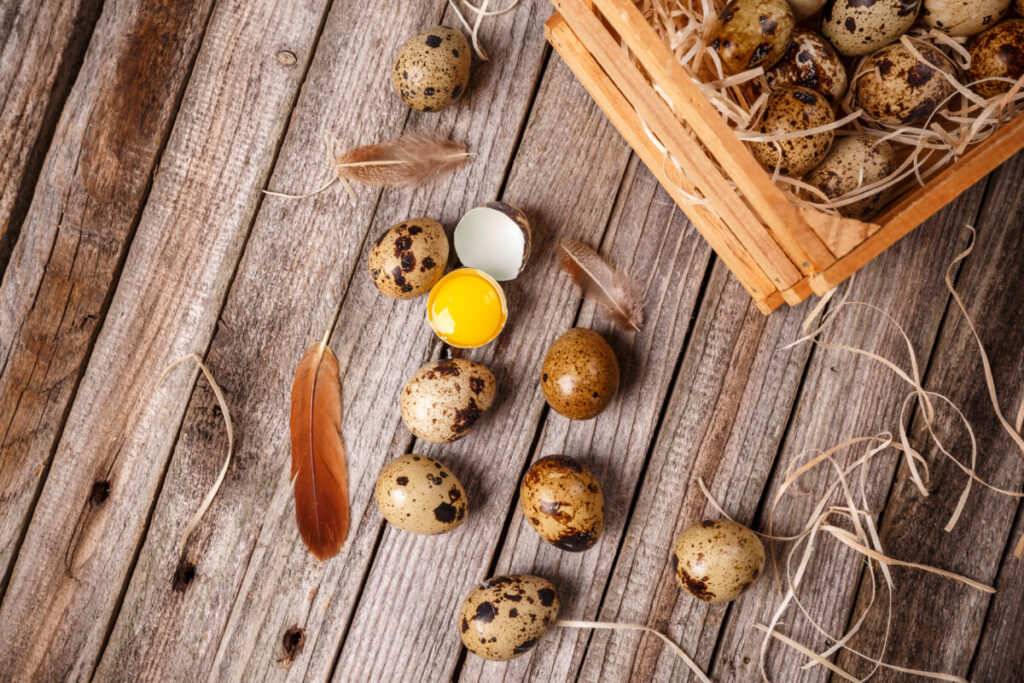 Kandungan Nutrisi Telur Puyuh yang Perlu Kamu Tahu