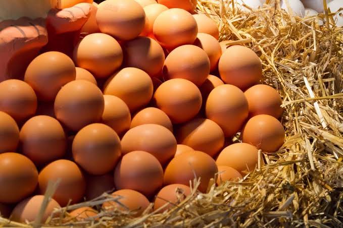 Kandungan Nutrisi Telur Ayam: Manfaat Sehat untuk Kamu