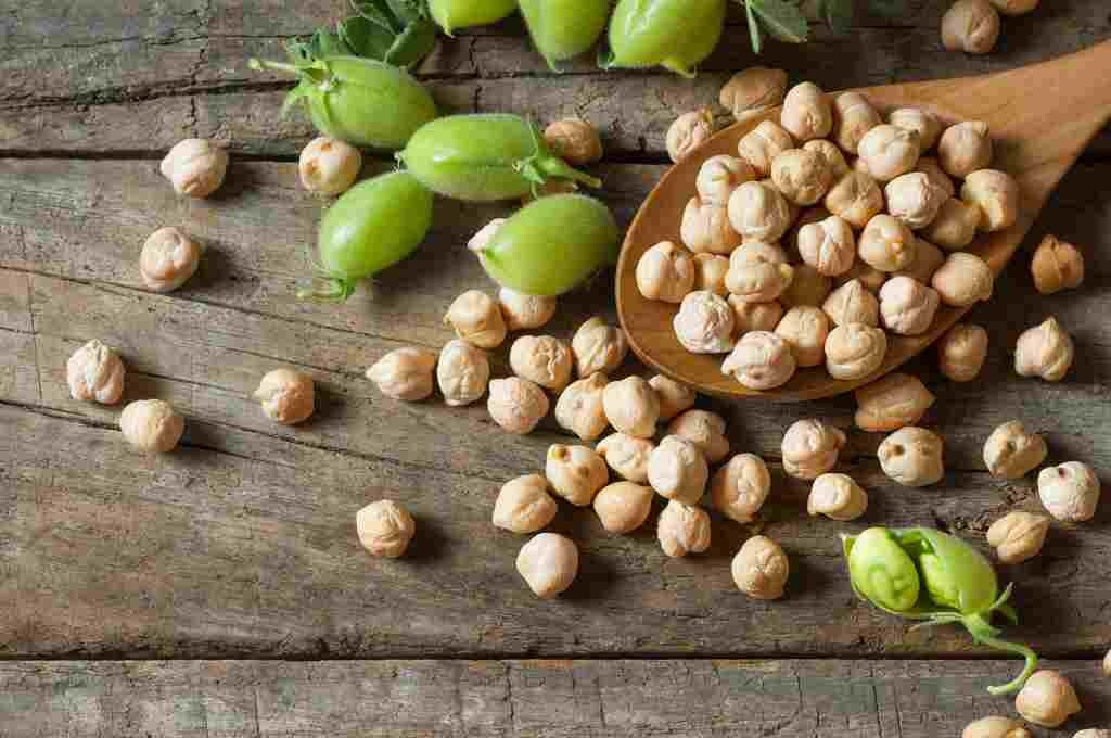 Mitos Kacang Arab