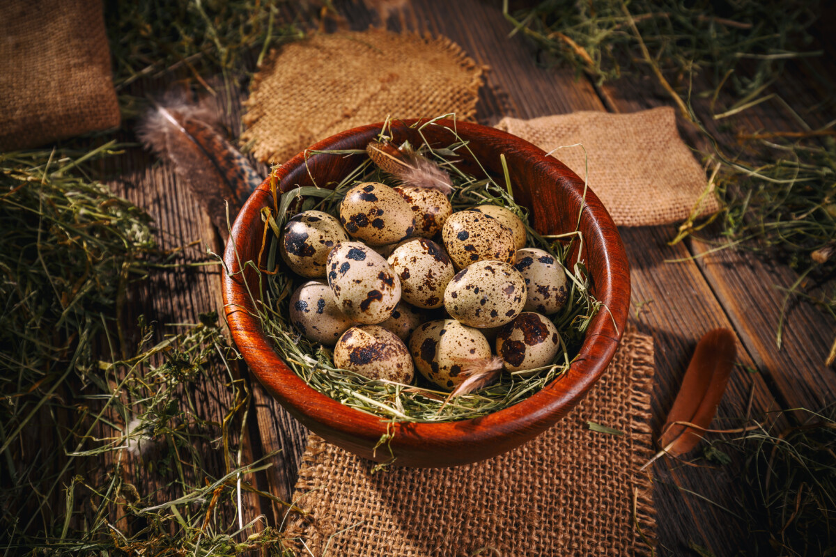 Telur Puyuh untuk Diet: Manfaat dan Cara Mengolahnya