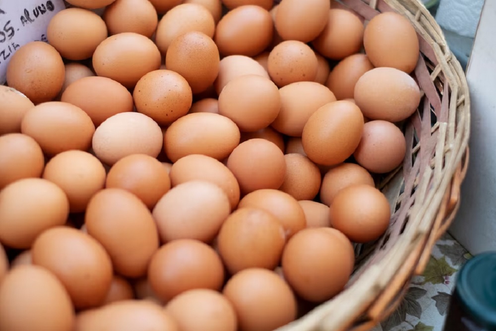 10 Fakta Unik tentang Telur Ayam yang Jarang Diketahui