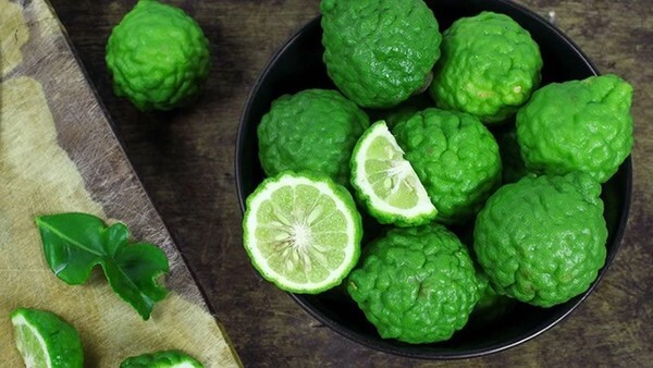 10 Ide Usaha Kuliner dengan Bahan Utama Jeruk Purut