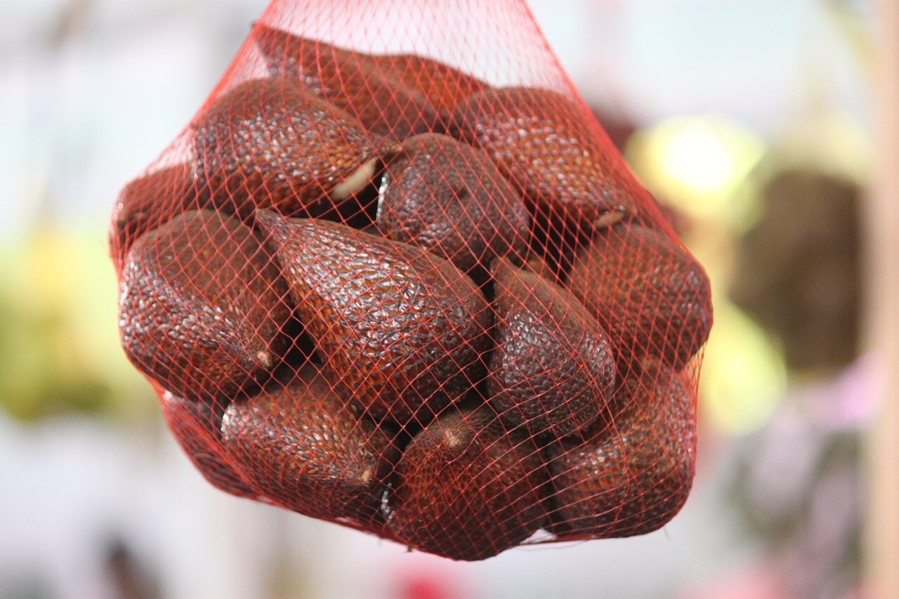 Manfaat Buah Salak