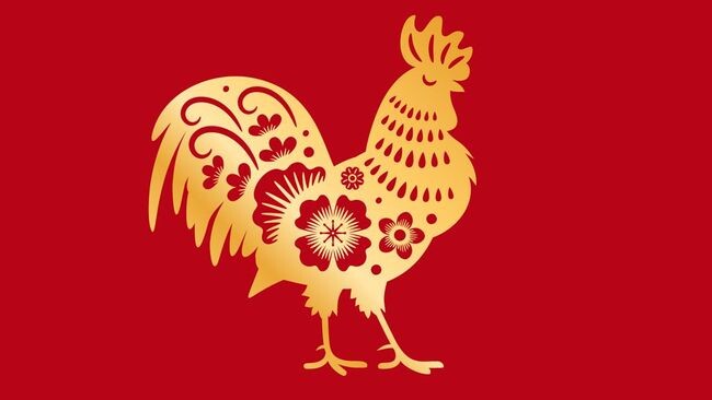 Mengenal Kepribadian Shio Ayam: Percaya Diri dan Perfeksionis