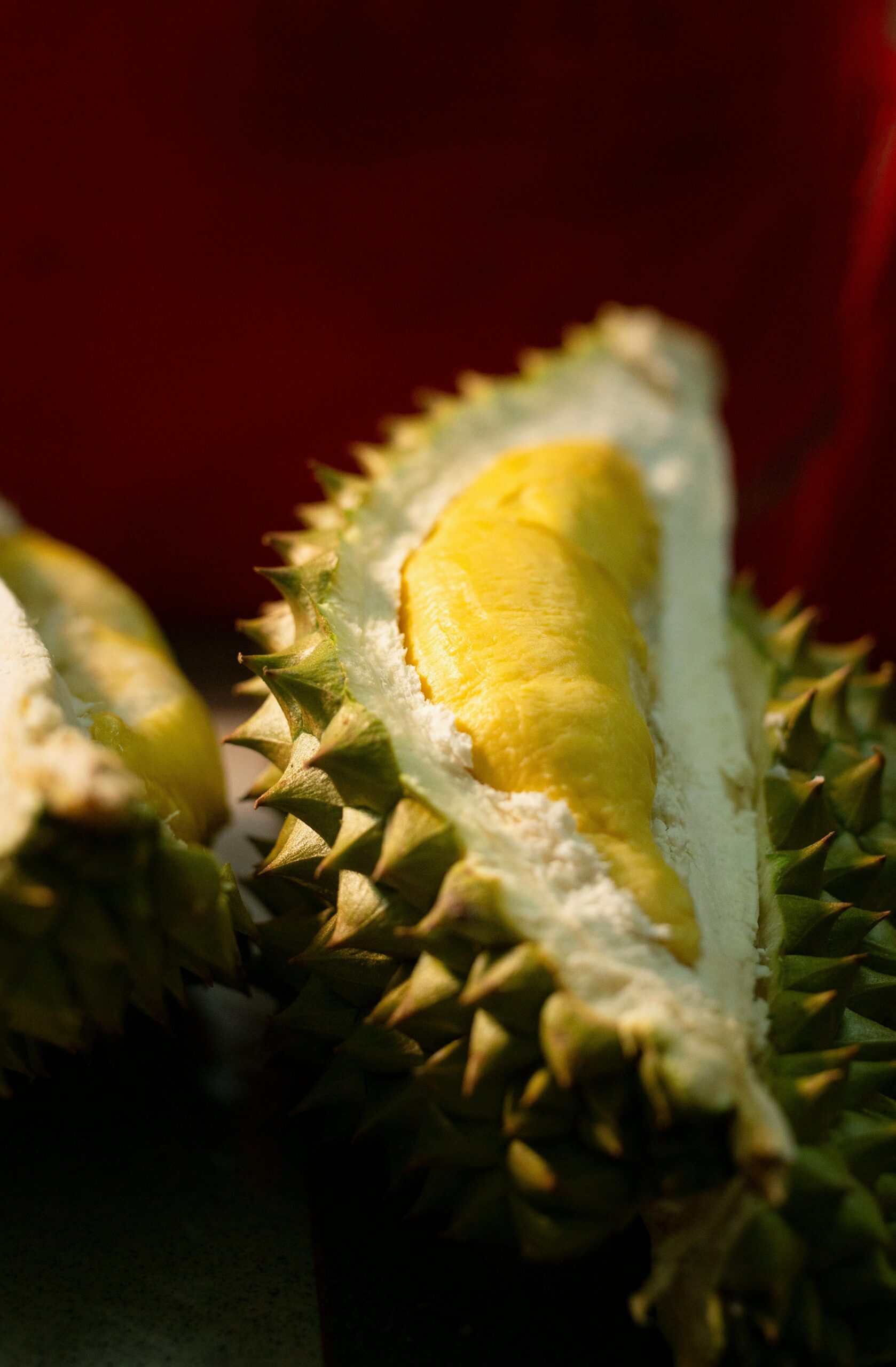 Fakta Buah Durian