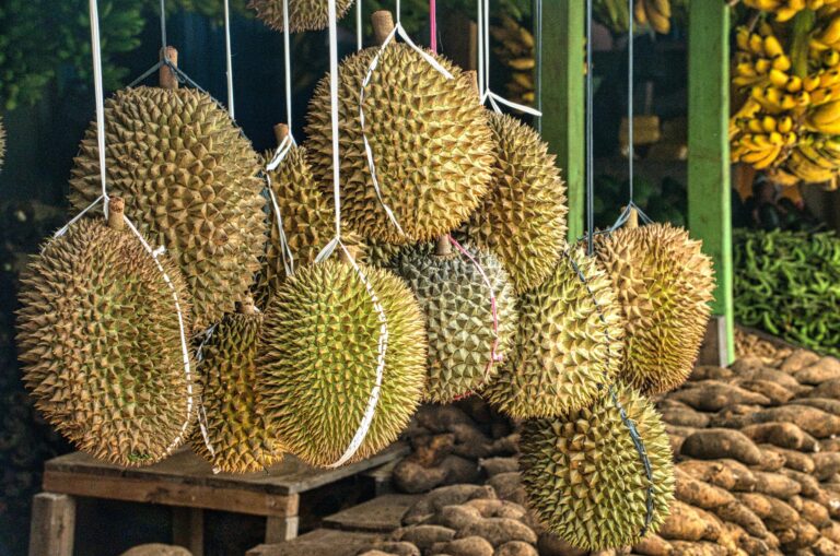 Mitos Buah Durian