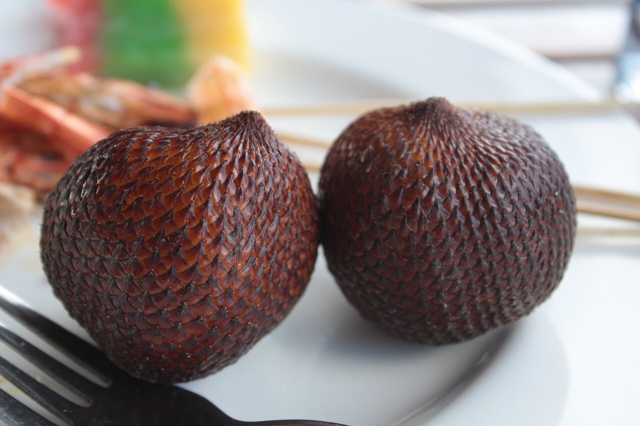 Kandungan Buah Salak