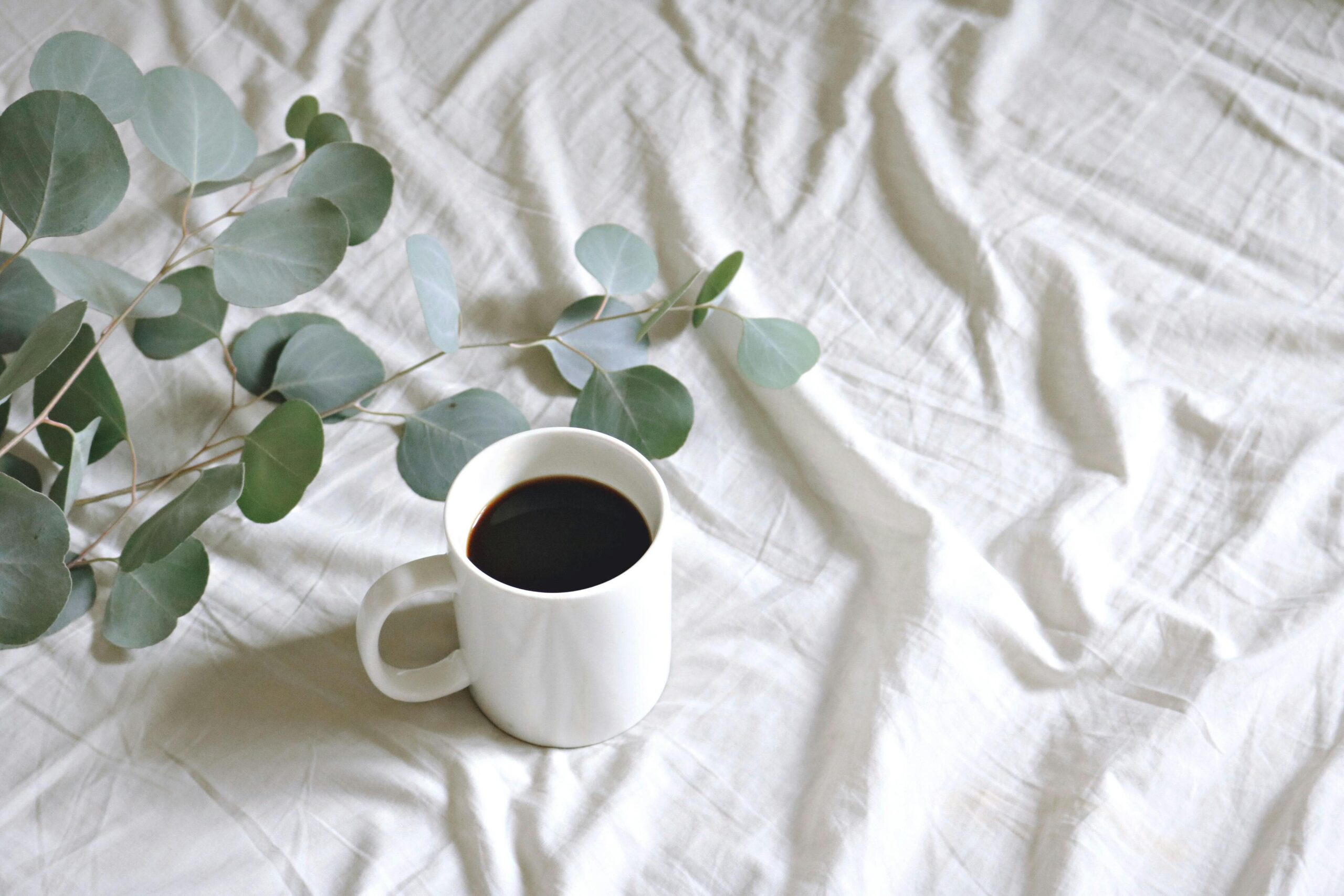 Cara Membuat Masker Kopi