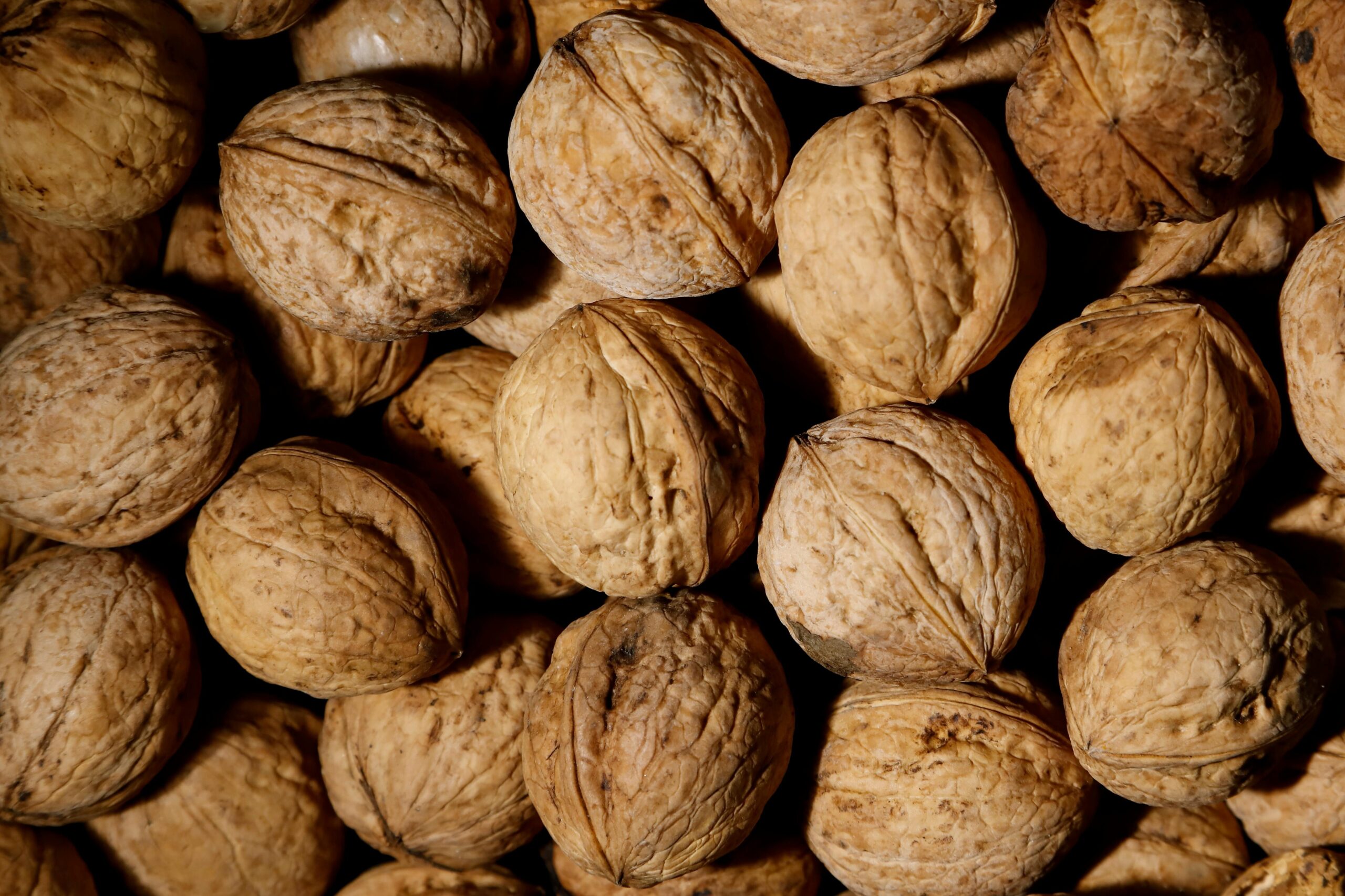 Kandungan Kacang Kenari