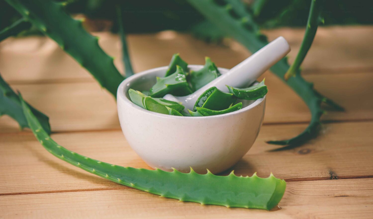 10 Tips Menumbuhkan Rambut Lebih Cepat dengan Lidah Buaya