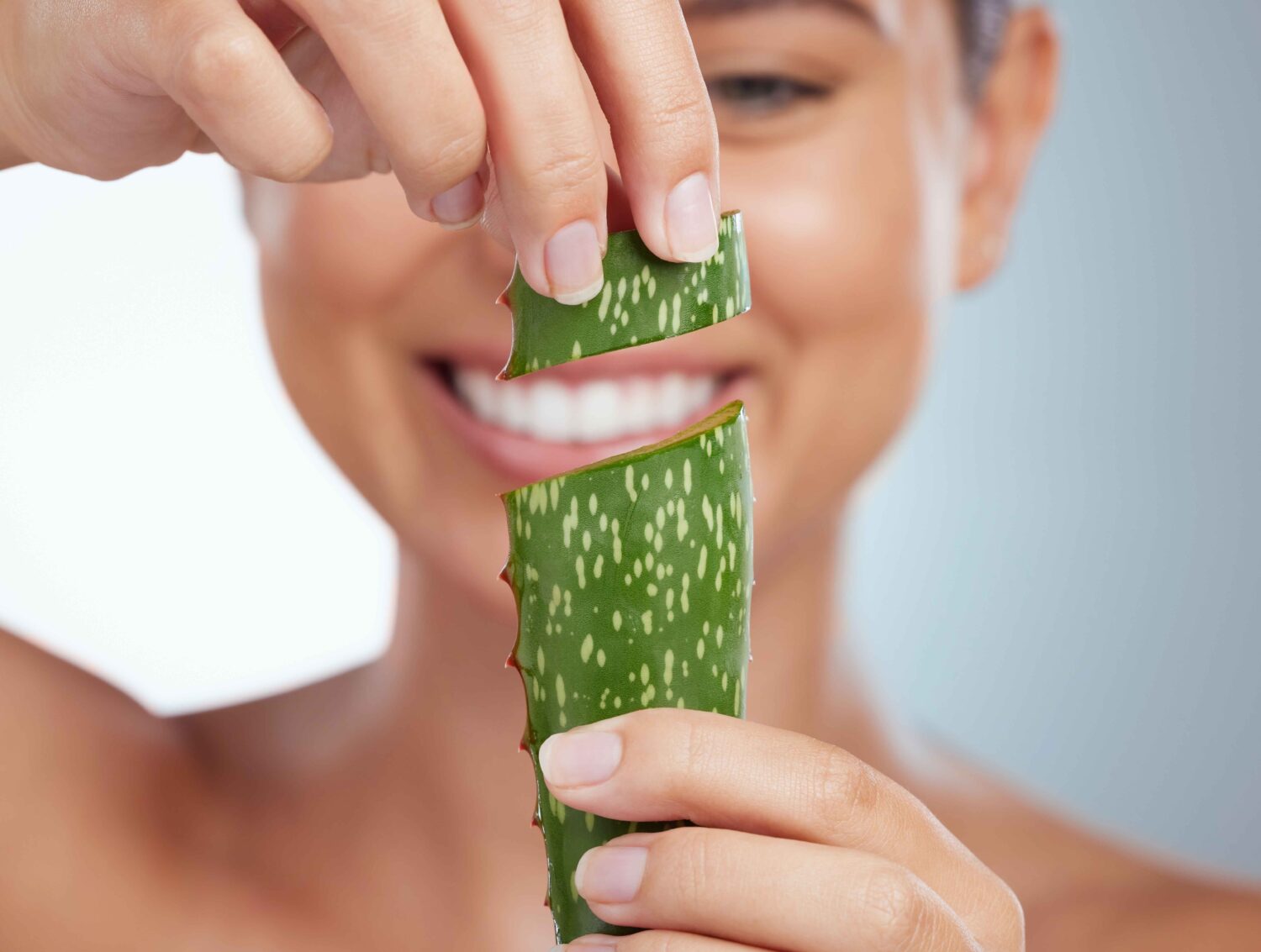 5 Resep Lulur Lidah Buaya dengan Bahan Alami