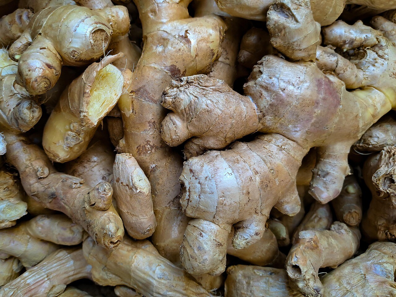 Kandungan Jahe
