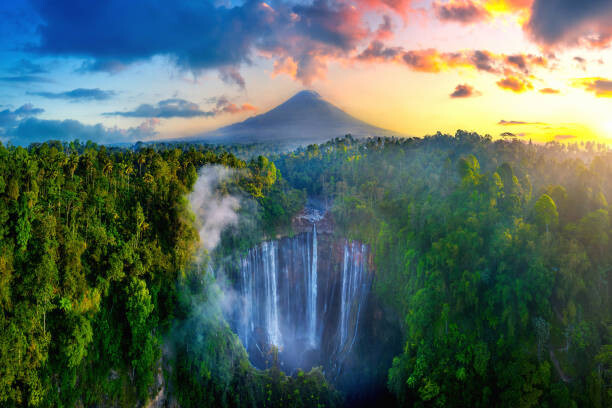 5 Hutan di Tanah Jawa yang Wajib Kamu Jelajahi