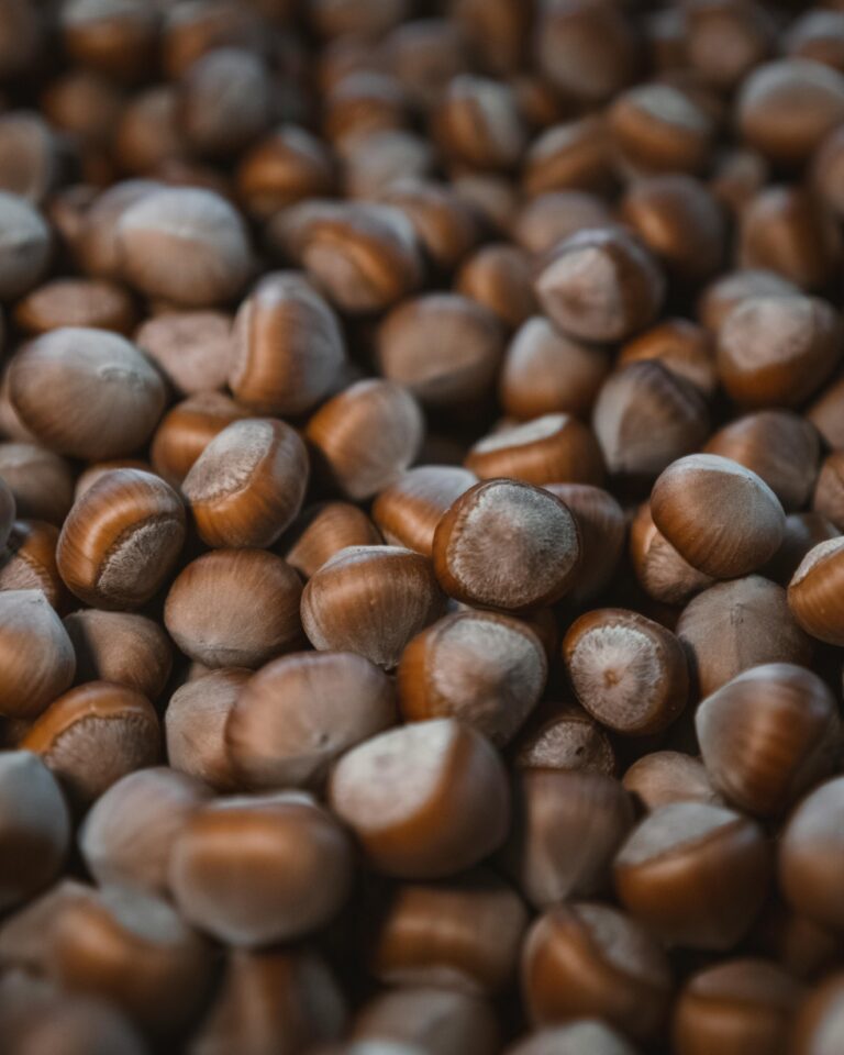 Manfaat Kacang Kemiri