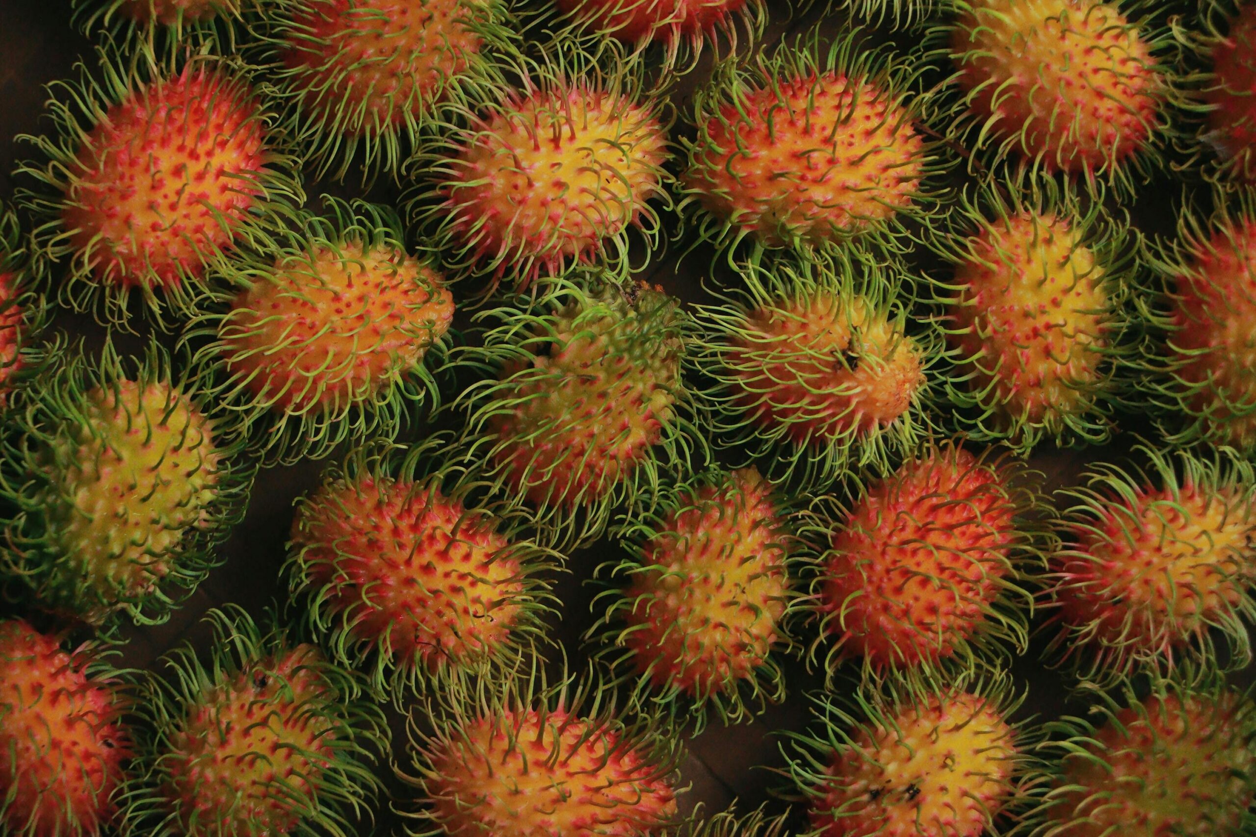 Kandungan Buah Rambutan