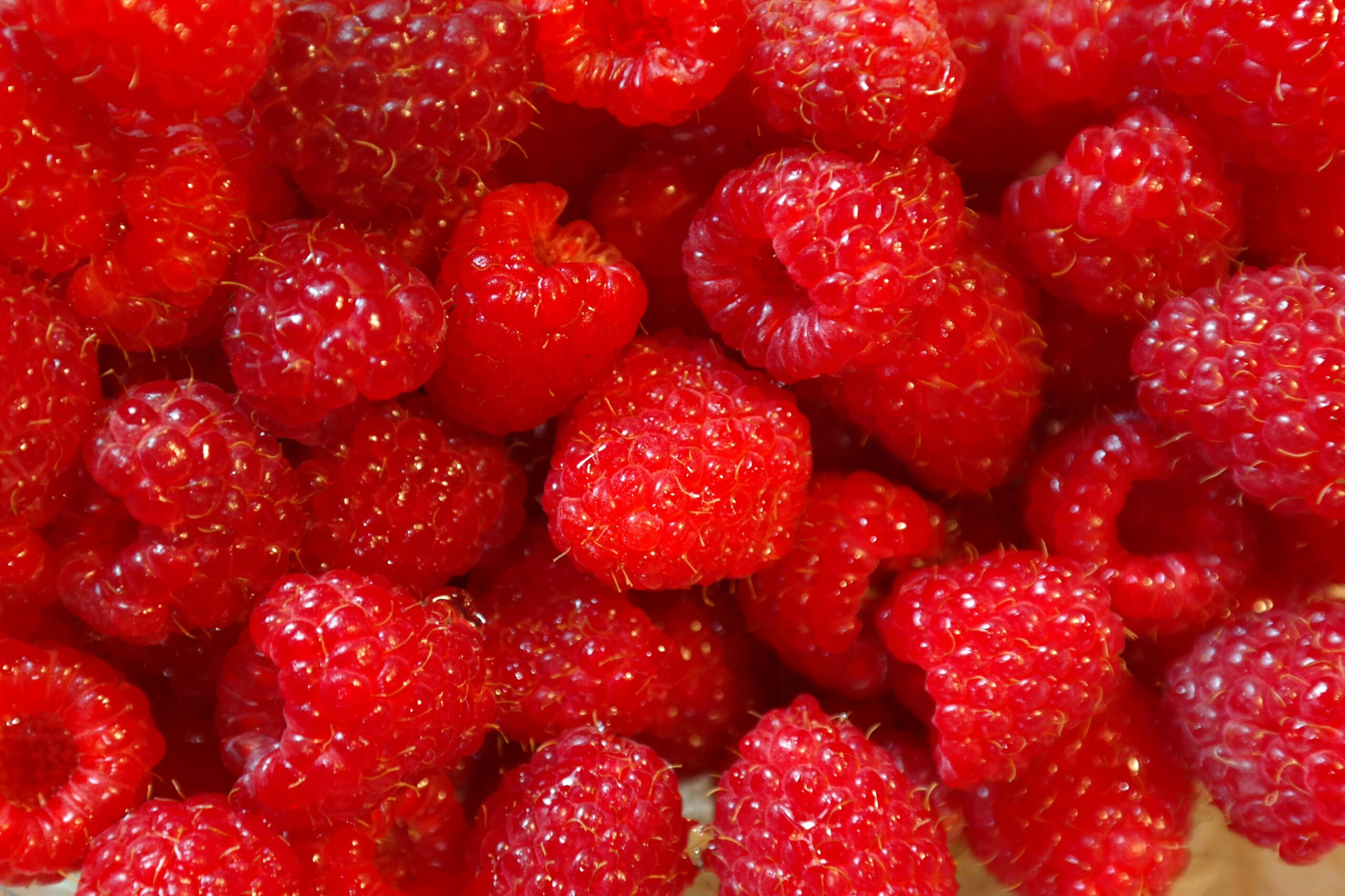 Mitos Buah Raspberry