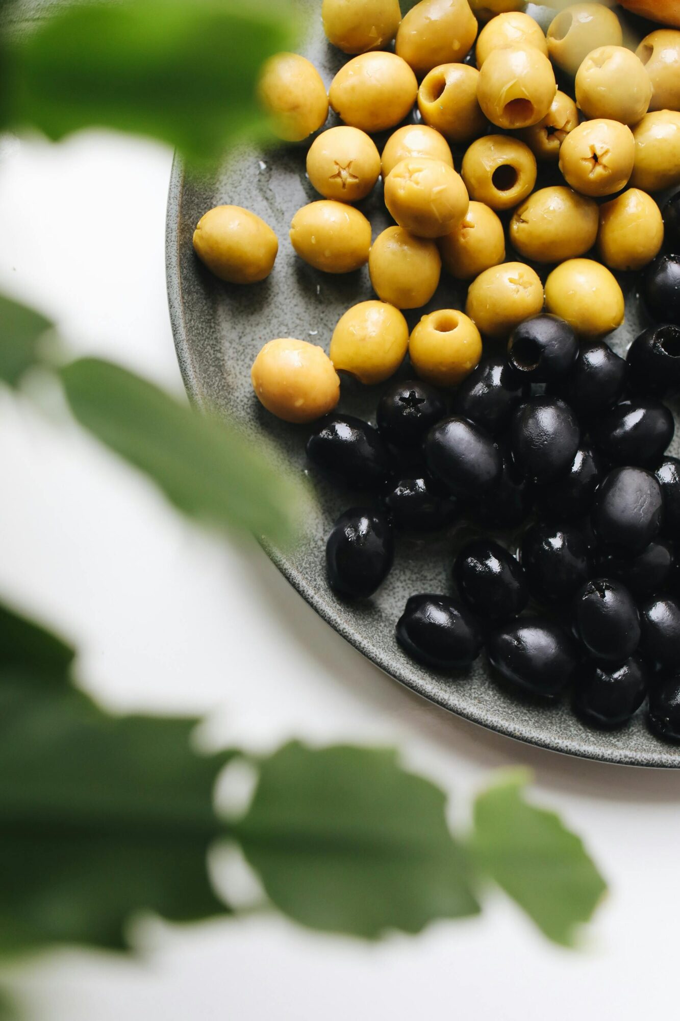Kandungan Buah Zaitun