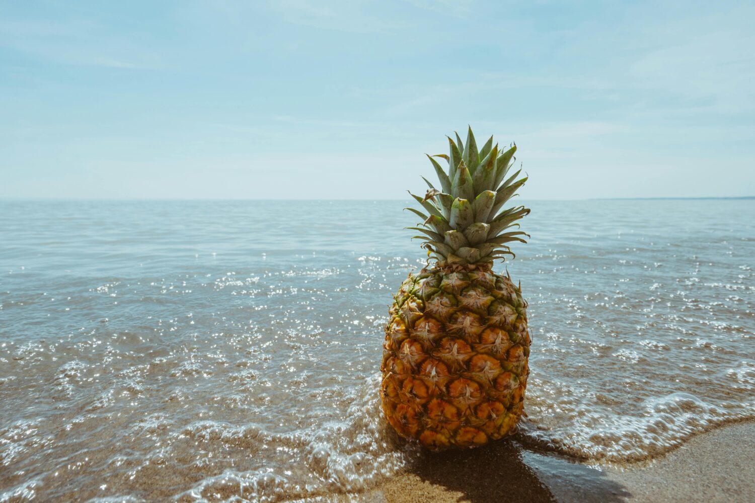 Kandungan Buah Nanas