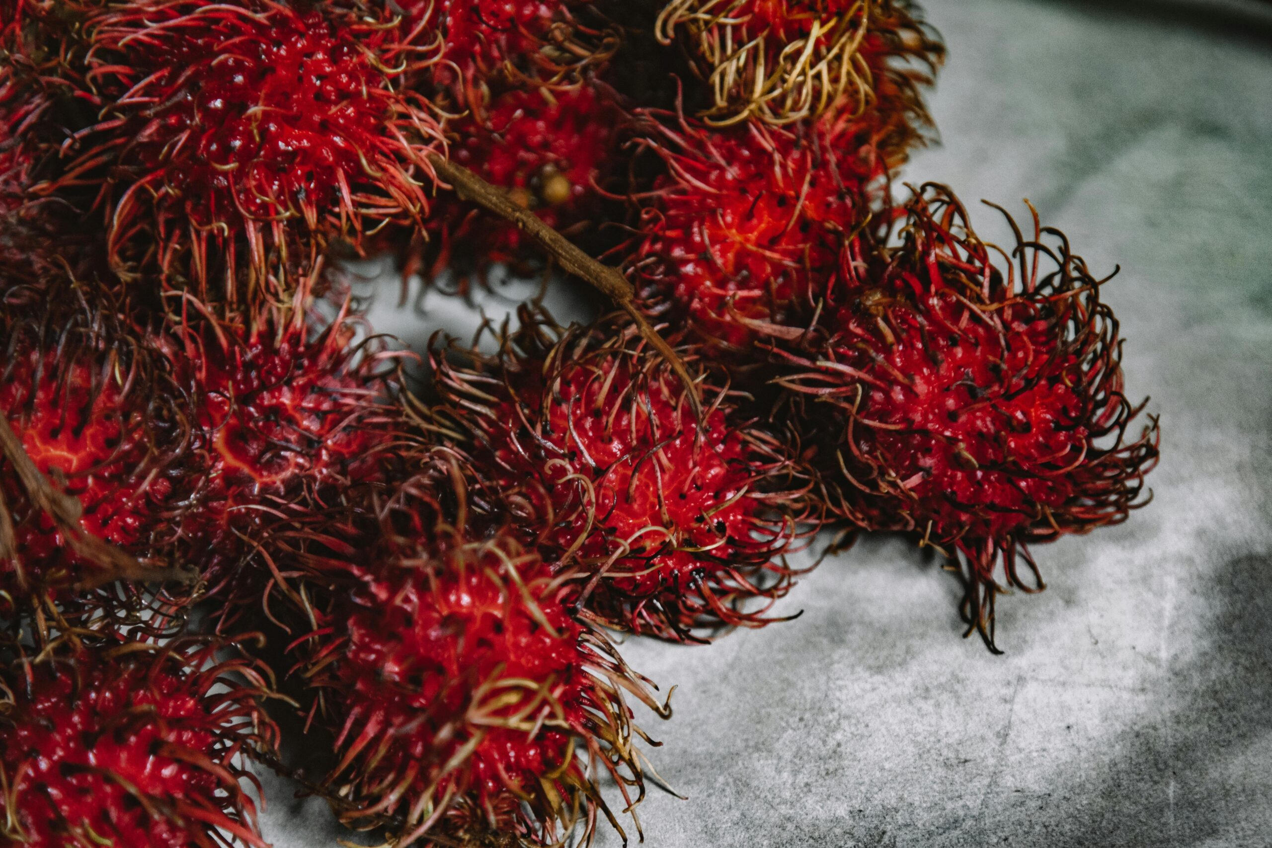 Fakta Buah Rambutan