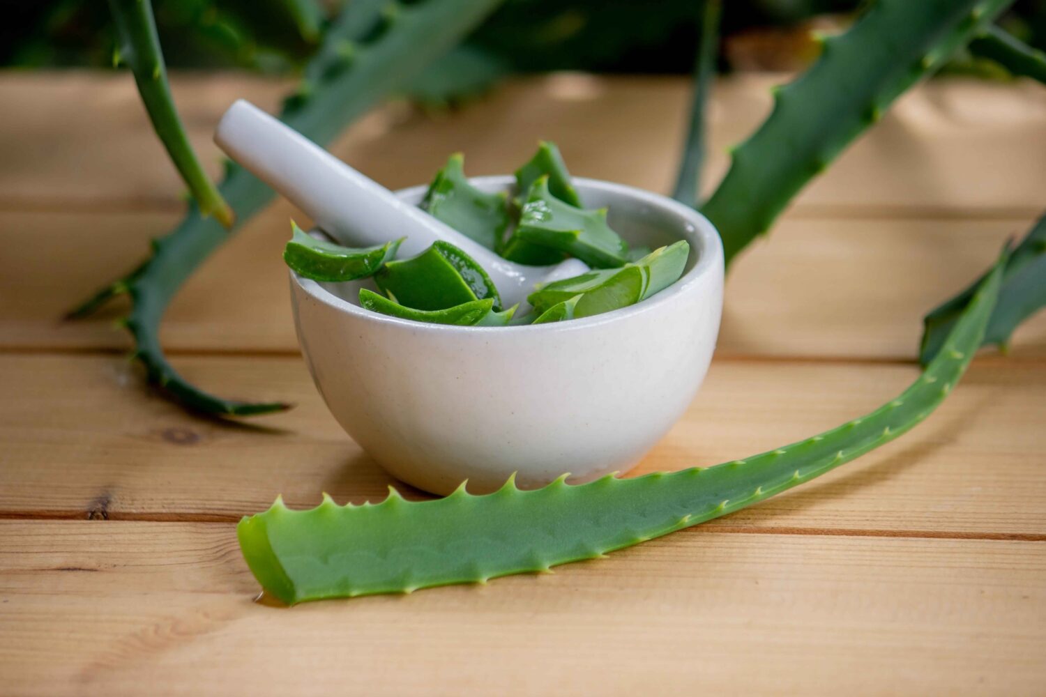 10 Cara Membuat Gel Lidah Buaya Homemade yang Simpel dan Murah