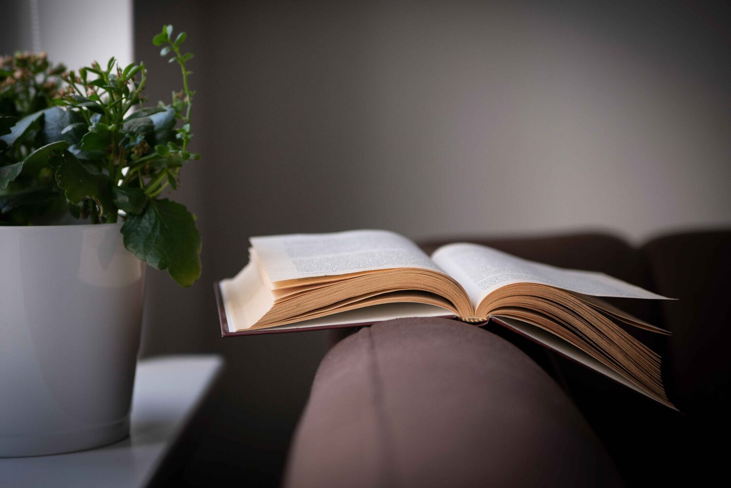 20 Buku Best Seller Dunia yang Harus Masuk Wishlist Kamu