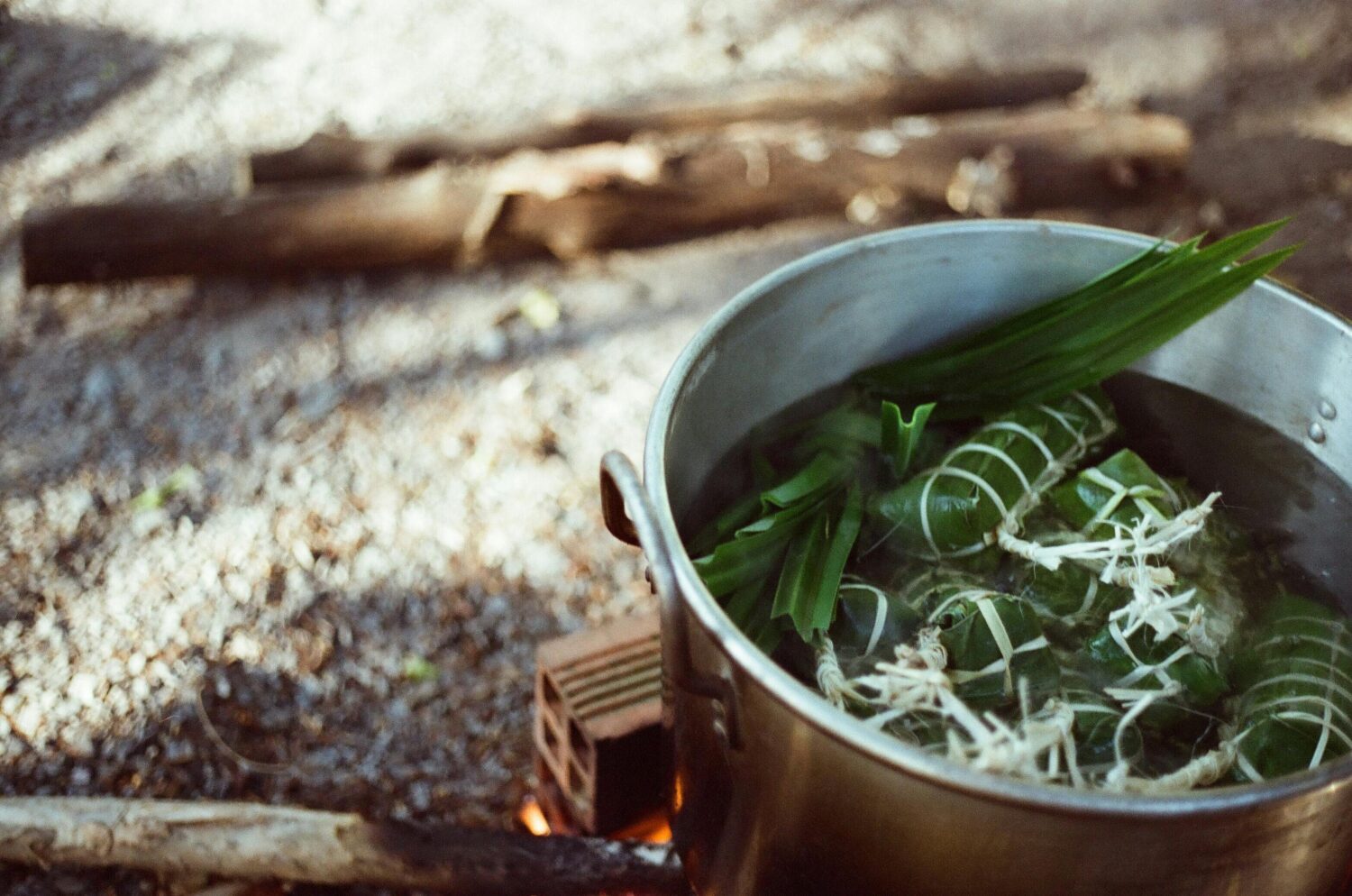 Manfaat Pandan
